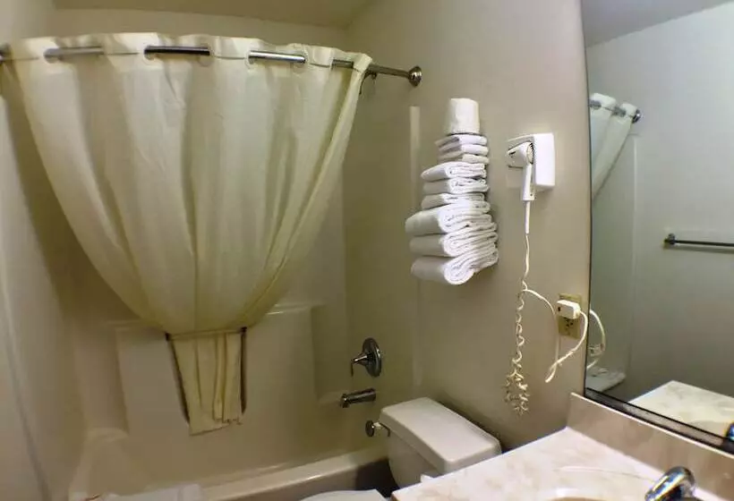 Standard-huone 2 Parivuodetta, Super 8 By Wyndham Webster/rochester