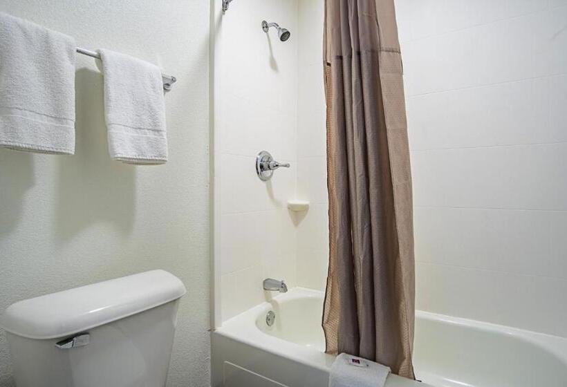 스탠다드 룸, Motel 6 Manchester Tn