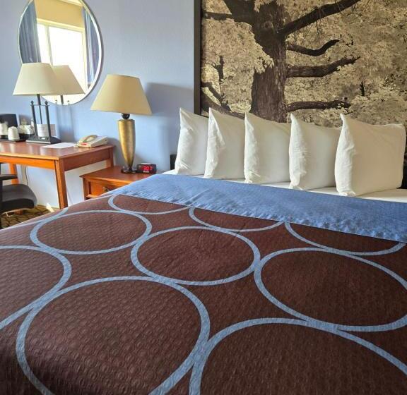 غرفة قياسية سرير كينج, Super 8 By Wyndham Adrian