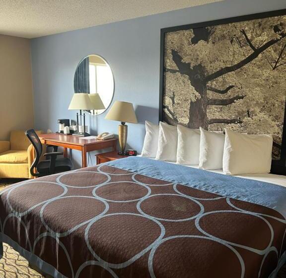 غرفة قياسية سرير كينج, Super 8 By Wyndham Adrian