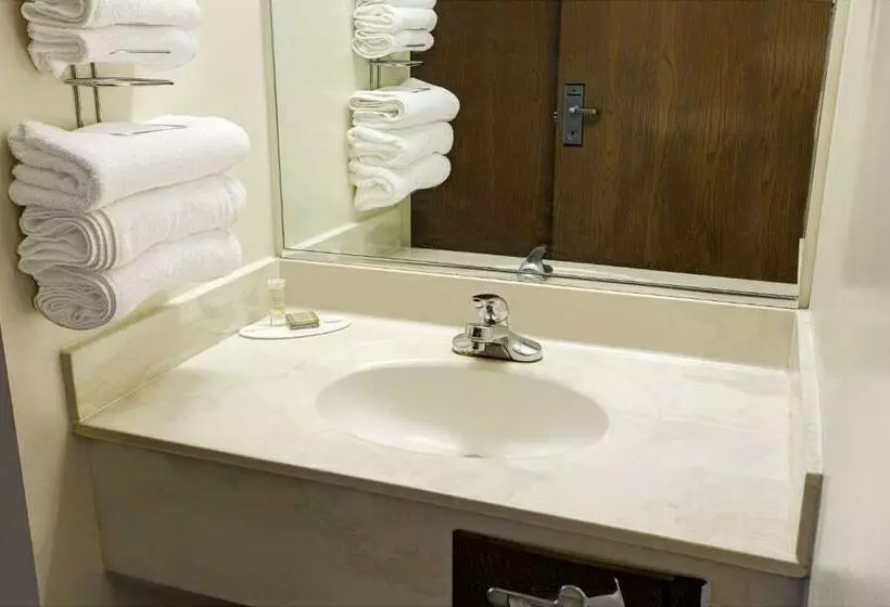 اتاق استاندارد, Super 8 By Wyndham Heath/newark