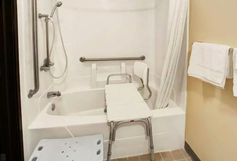اتاق استاندارد برای معلولان, Super 8 By Wyndham Heath/newark