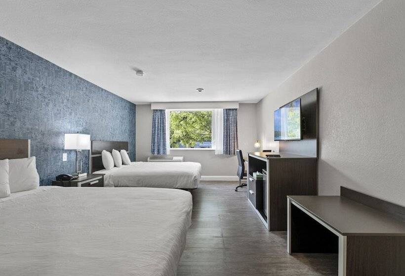 スタンダードルーム, Inn On Arsenal