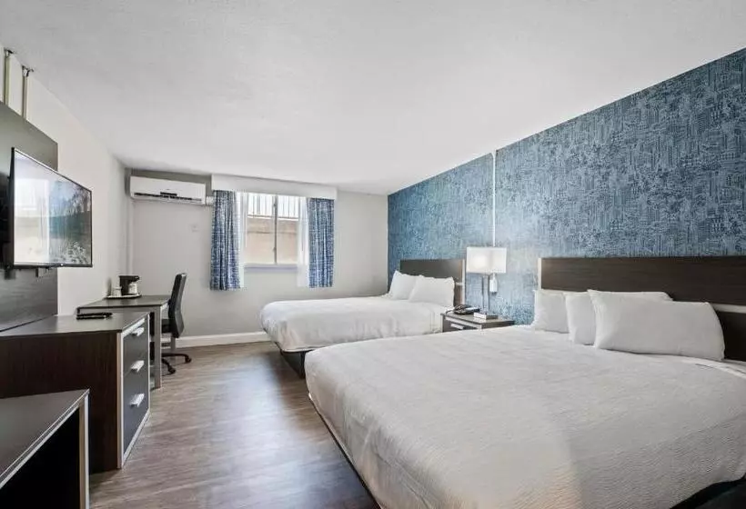 اتاق اکونومی, Inn On Arsenal