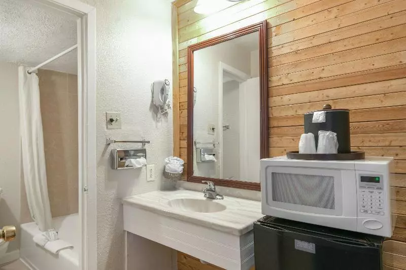 اتاق استاندارد, OYO Hotel Houston, TX near Medical Center/NRG Stadium