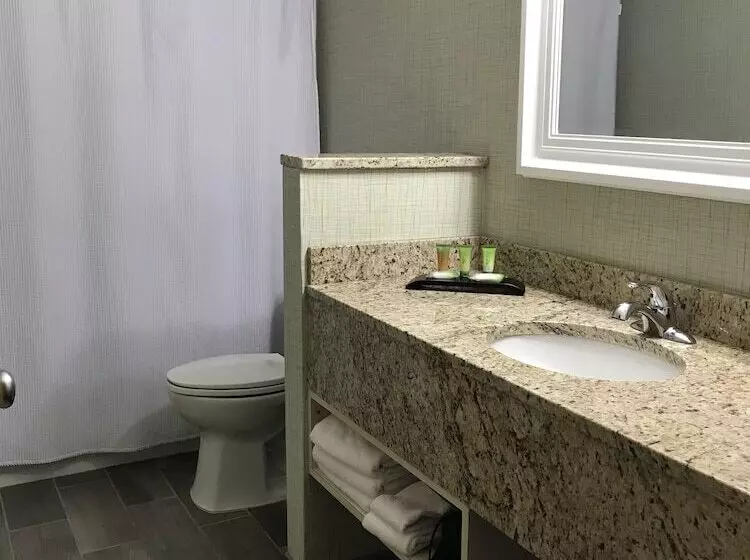 اتاق استاندارد با تخت بزرگ, Sugar Beach Resort