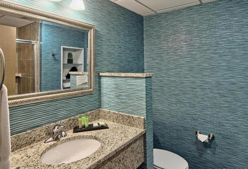 סוויטה משפחתית, Sugar Beach Resort