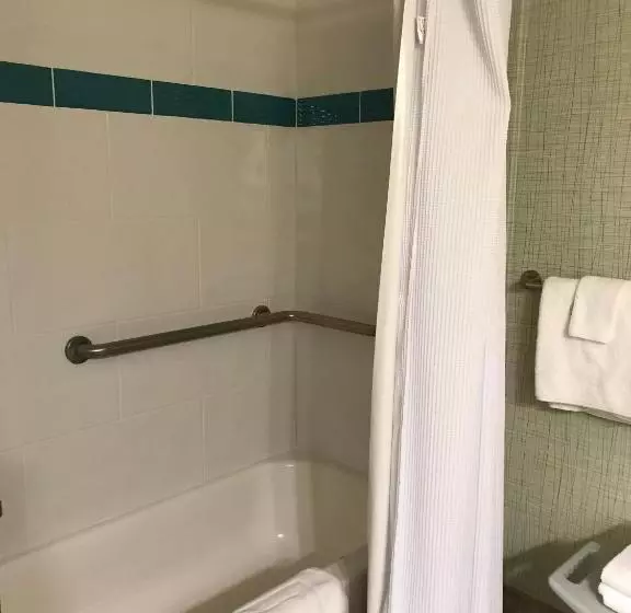 اتاق استاندارد با تخت بزرگ برای معلولان, Sugar Beach Resort