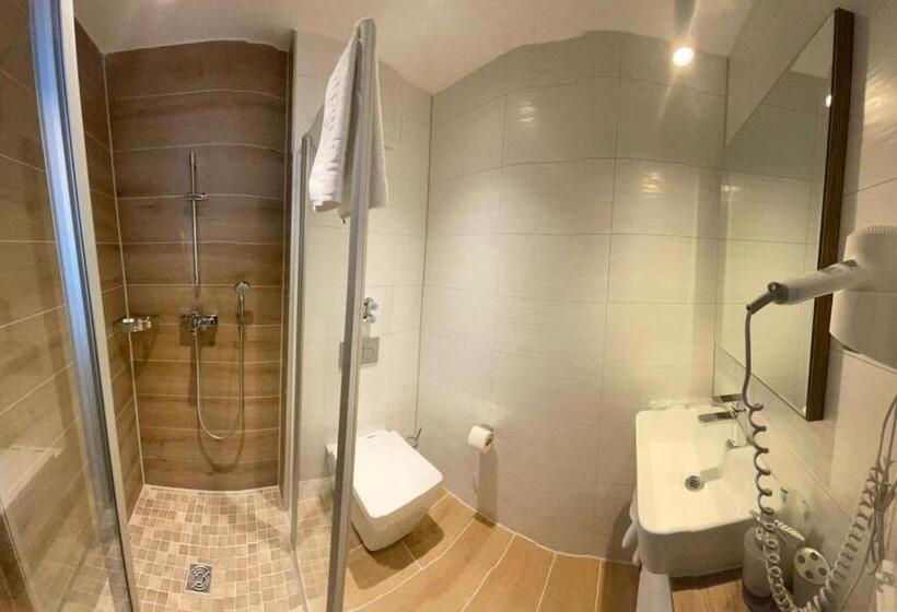 标准单人间, B&s