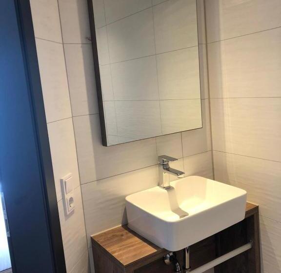 标准单人间, B&s