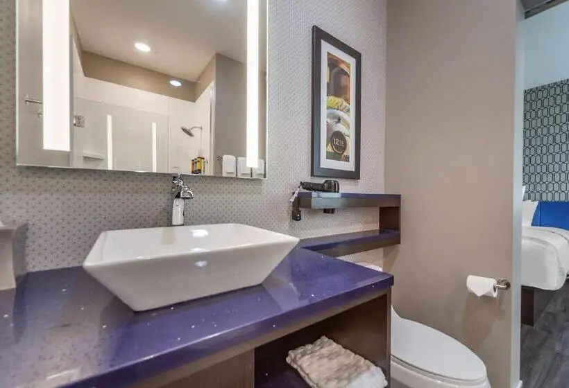身障者適用キングサイズベッドルーム, Glō Best Western Dawley Farms In Sioux Falls