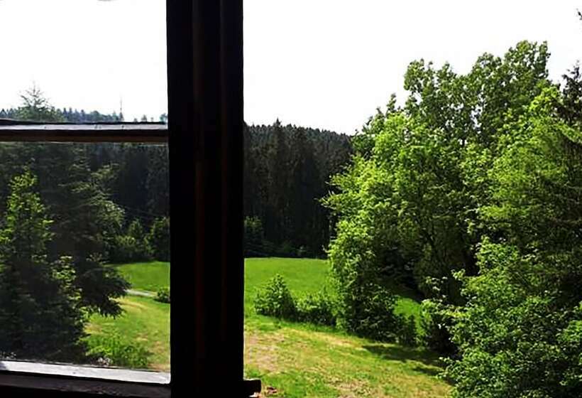 غرفة قياسية, Green Corner Nürburg