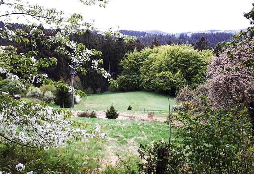 غرفة قياسية, Green Corner Nürburg