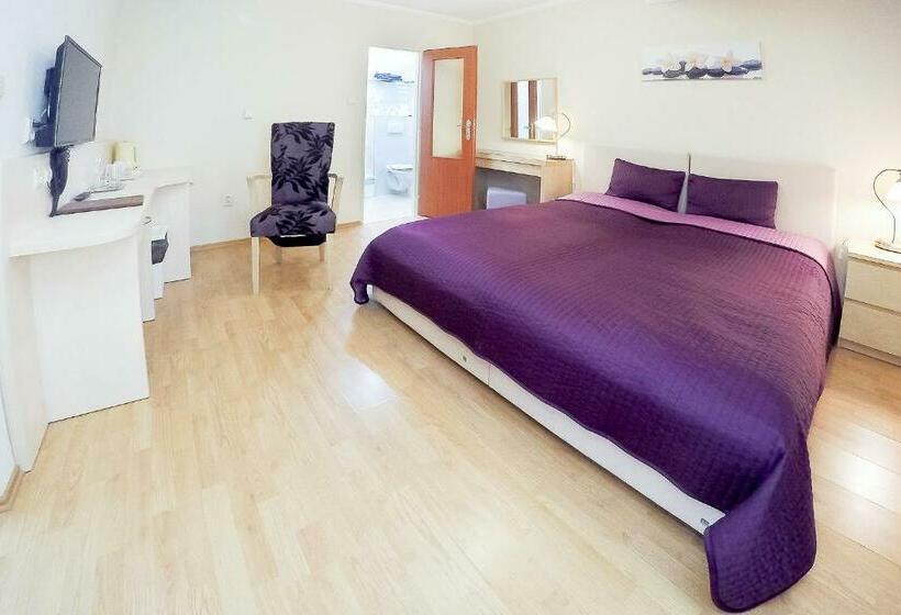 غرفة قياسية, Penzion Astra