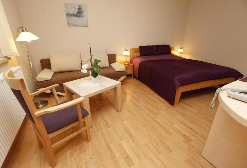 غرفة قياسية, Penzion Astra