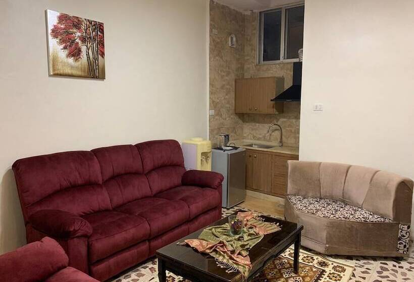 آپارتمان سوپریور 1 خوابه, Mesha Stele Hotel Apartments