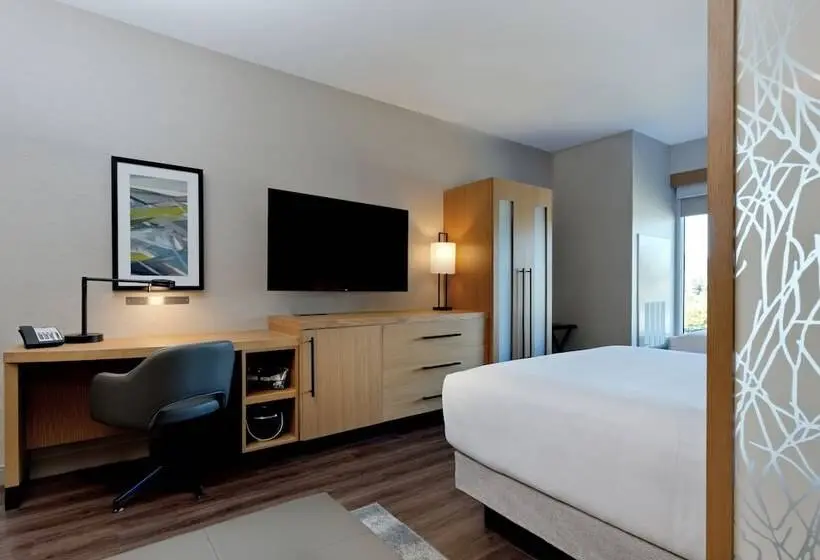 身障者適用クイーンサイズベッドルーム, Hyatt Place Kelowna