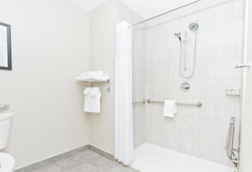 适合残疾人士使用的带超级大床的标准间, Hyatt Place Kelowna