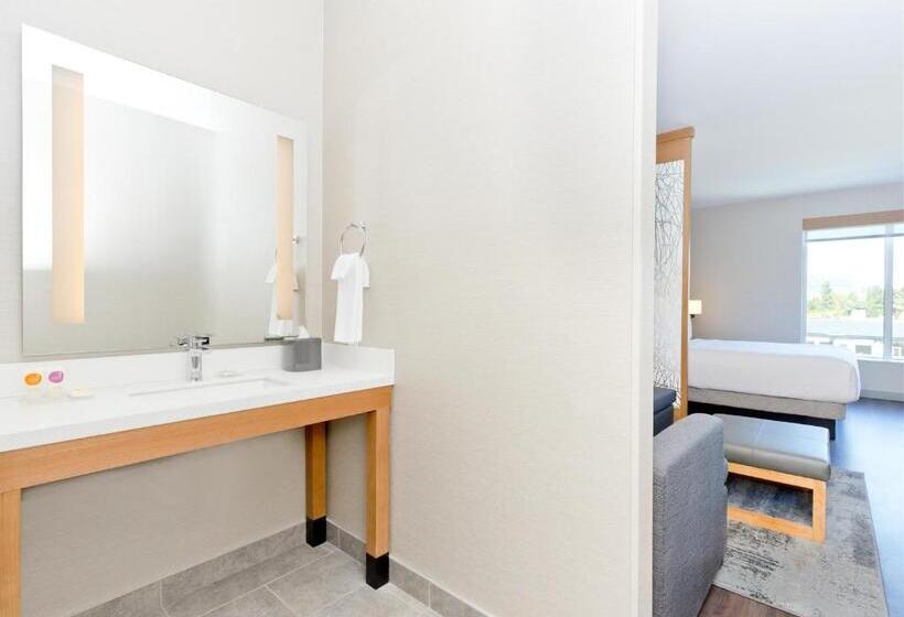 身障者適用キングサイズベッドルーム, Hyatt Place Kelowna