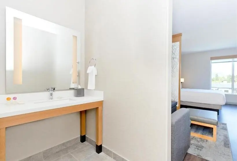 身障者適用キングサイズベッドルーム, Hyatt Place Kelowna