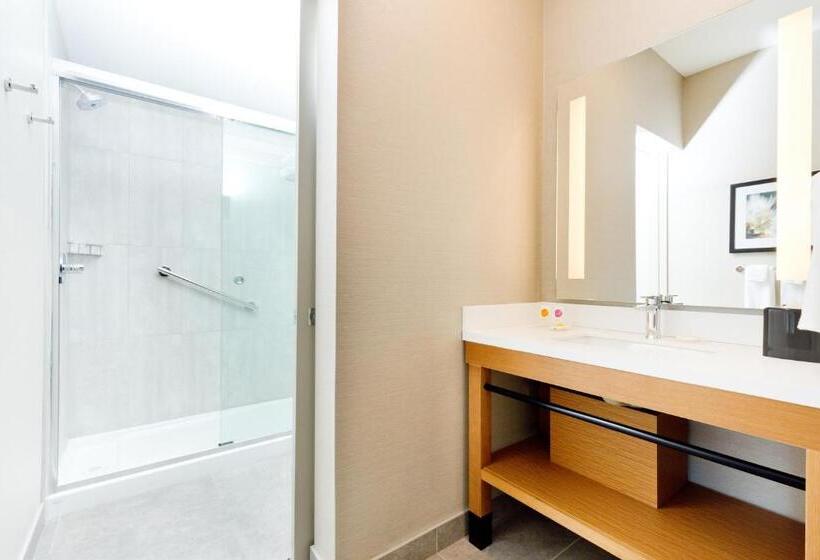 高级寓所标准房间, Hyatt Place Kelowna