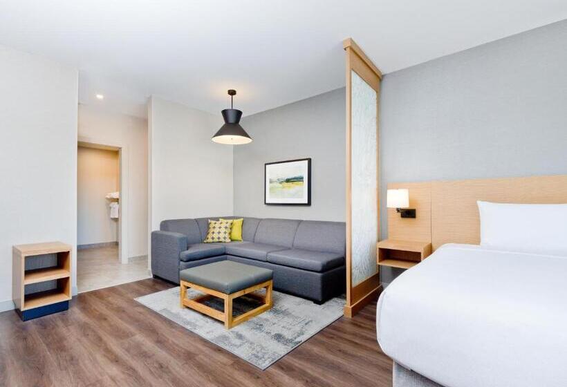 身障者適用クイーンサイズベッドルーム, Hyatt Place Kelowna
