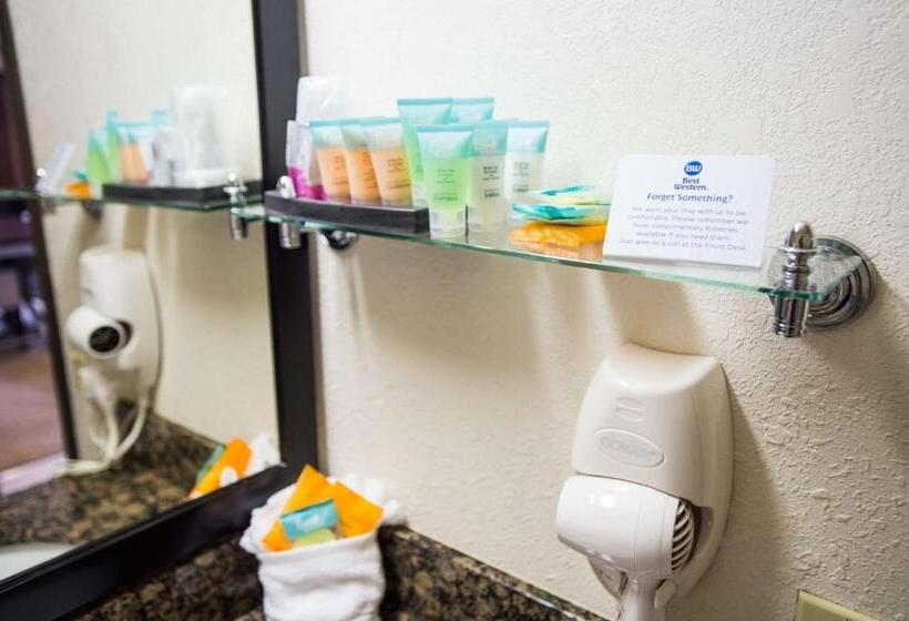 Номер Стандарт Адаптированный для Инвалидов, Best Western Alpenglo Lodge