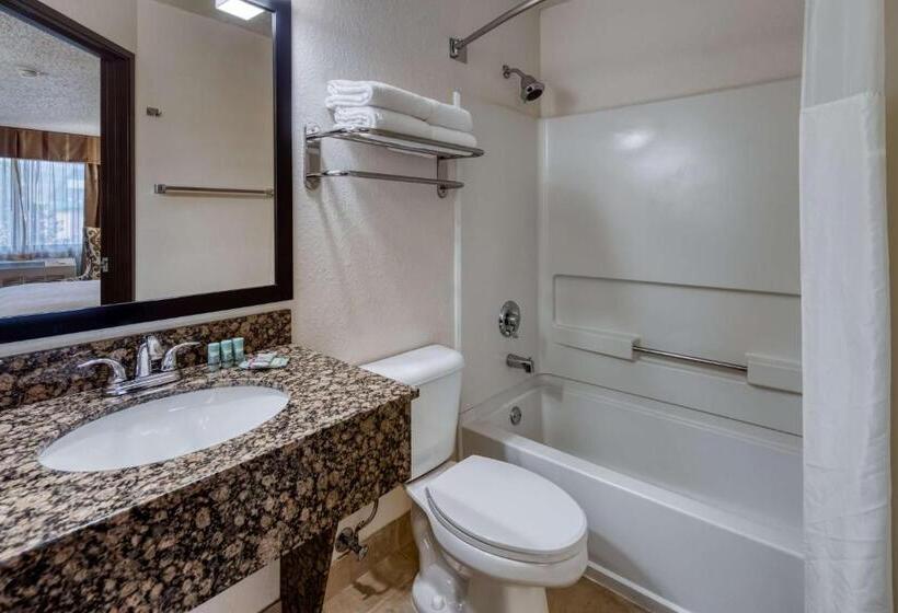 Номер Стандарт Кровать Кинг Адаптированный для Инвалидов, Best Western Alpenglo Lodge