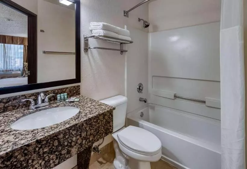 اتاق استاندارد با تخت بزرگ برای معلولان, Best Western Alpenglo Lodge