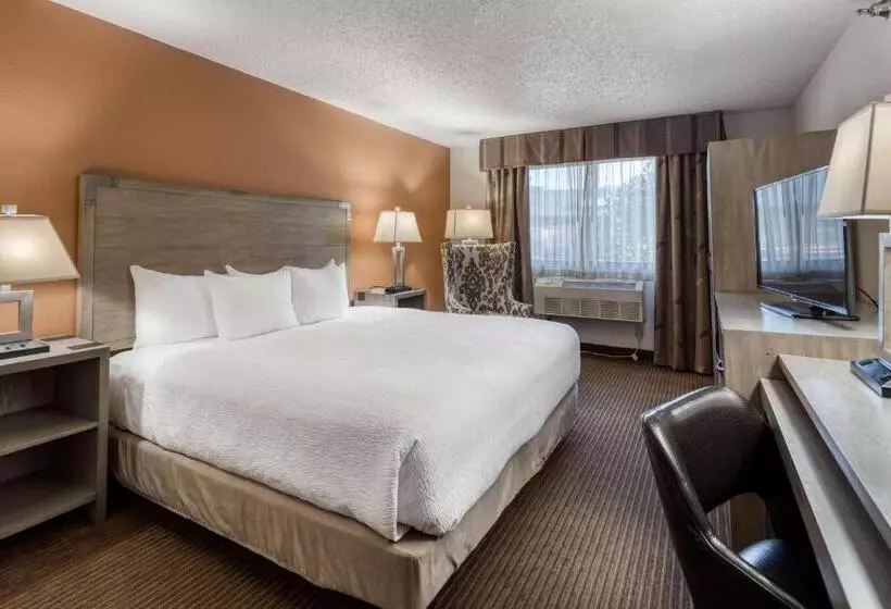 اتاق استاندارد با تخت بزرگ برای معلولان, Best Western Alpenglo Lodge