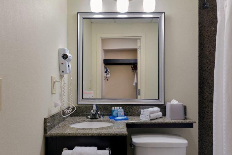 スタンダードルーム, Holiday Inn Express & Suites   Atlanta Downtown, An Ihg