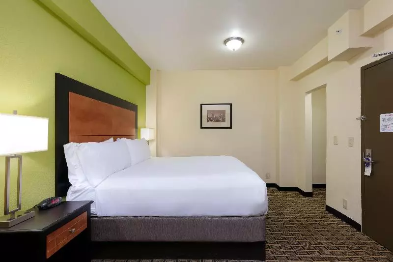 Standard-huone, Holiday Inn Express & Suites Atlanta Downtown, An Ihg