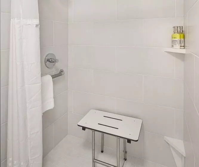 Sviitti Liikuntarajoitteisille, Holiday Inn Express & Suites Atlanta Downtown, An Ihg