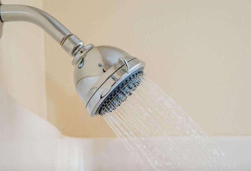 身障者適用スタンダードルーム, Super 8 By Wyndham Higginsville