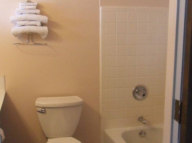 Номер Стандарт 2 Двуспальные Кровати, Swan Inn Motel