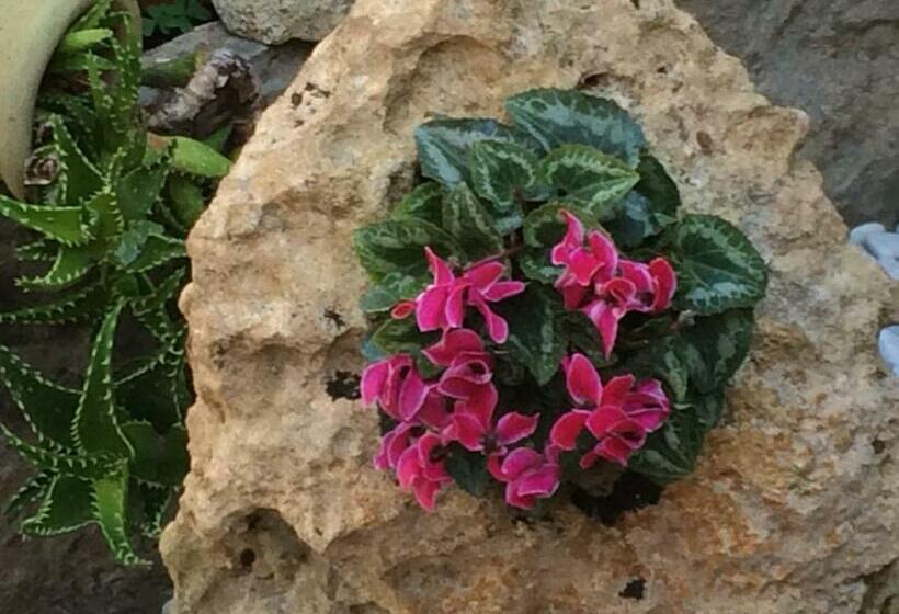 غرفة قياسية, L'onda