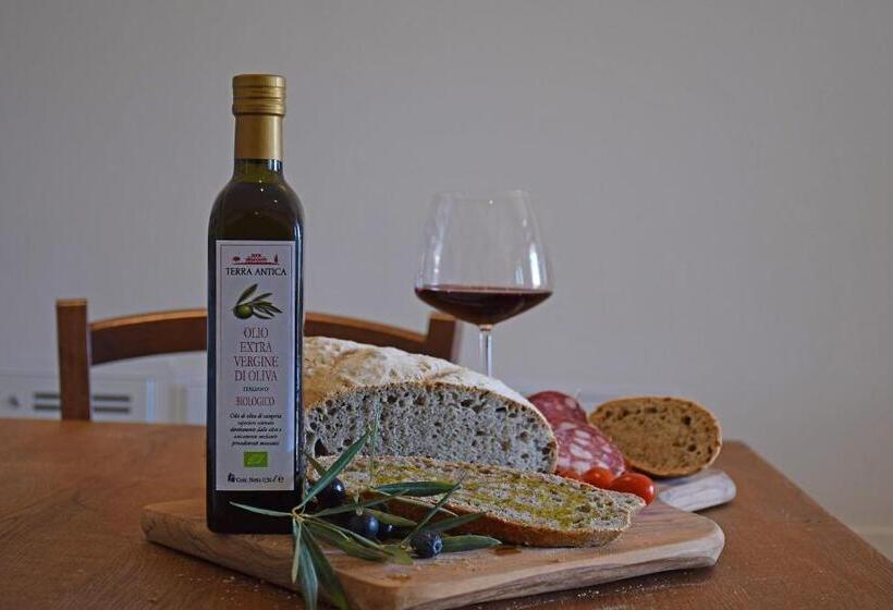套房, Terra Antica   Resort, Winery & Spa