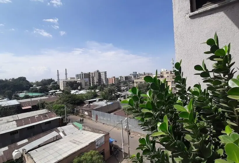 اتاق لوکس یک تخته, Teferi Mekonnen