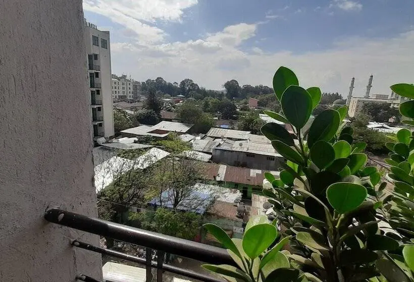 اتاق لوکس یک تخته, Teferi Mekonnen