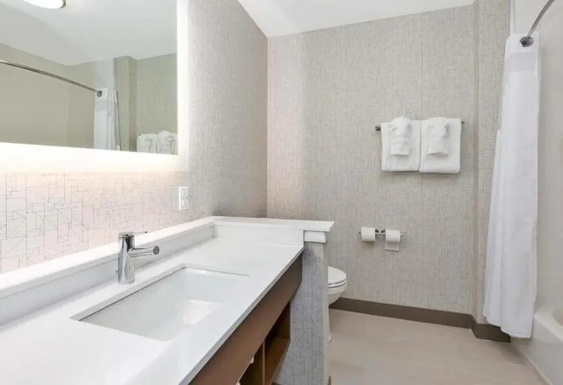 スイート, Holiday Inn Express & Suites   Grand Rapids Airport   South, An Ihg