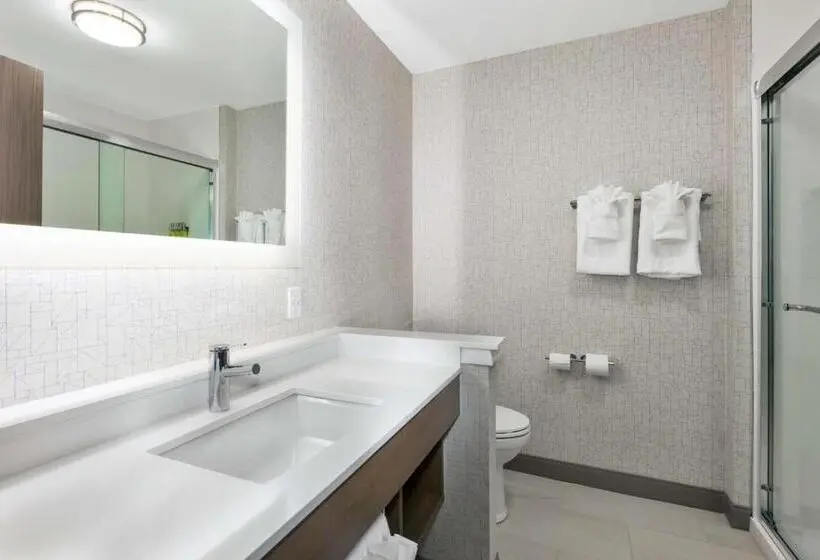 身障者適用スイートルーム, Holiday Inn Express & Suites   Grand Rapids Airport   South, An Ihg