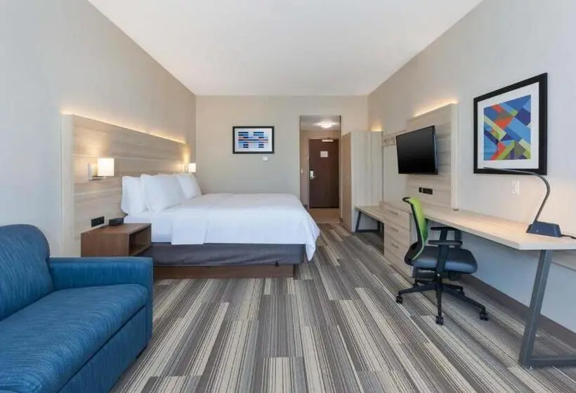 身障者適用キングサイズベッドルーム, Holiday Inn Express & Suites   Grand Rapids Airport   South, An Ihg