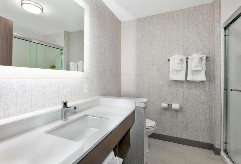 Номер Стандарт Кровать Кинг Адаптированный для Инвалидов, Holiday Inn Express & Suites   Grand Rapids Airport   South, An Ihg