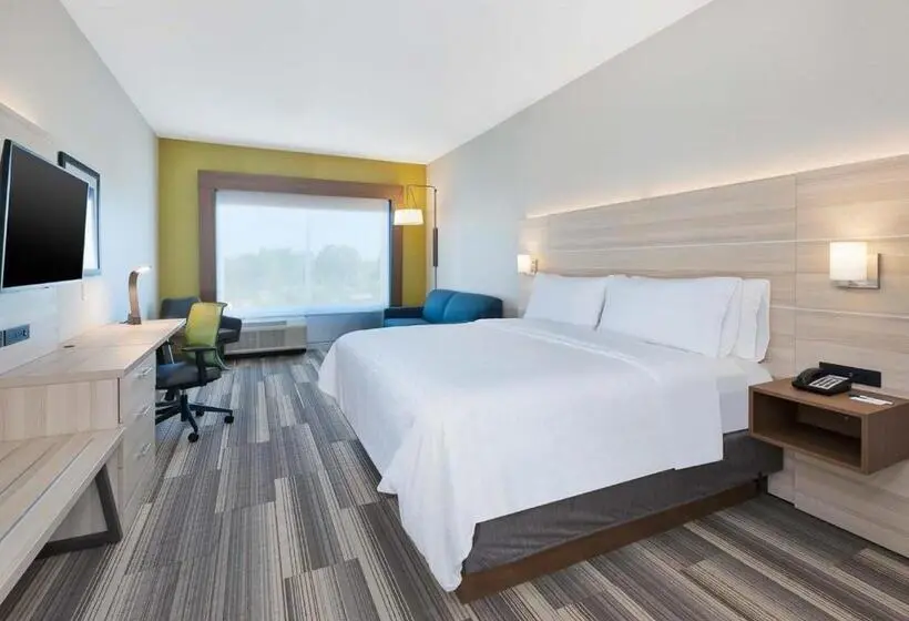 身障者適用キングサイズベッドルーム, Holiday Inn Express & Suites   Grand Rapids Airport   South, An Ihg