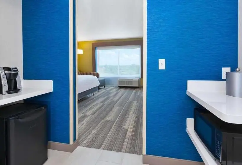 身障者適用キングサイズベッドルーム, Holiday Inn Express & Suites   Grand Rapids Airport   South, An Ihg