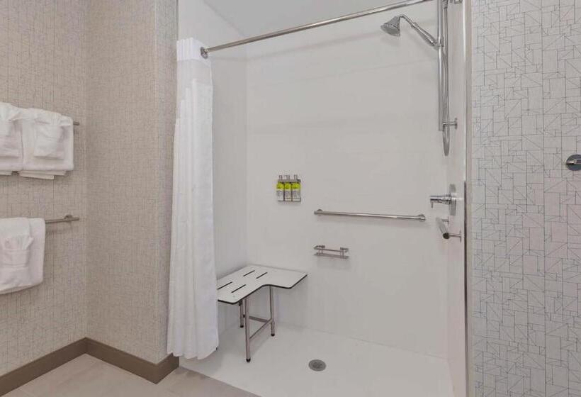 غرفة قياسية سرير كينج لذوى الإحتياجات الخاصة, Holiday Inn Express & Suites   Grand Rapids Airport   South, An Ihg