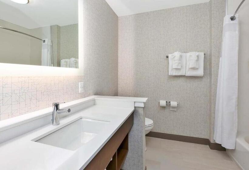 Номер Стандарт Кровать Кинг Адаптированный для Инвалидов, Holiday Inn Express & Suites   Grand Rapids Airport   South, An Ihg