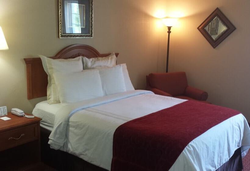 Номер Стандарт, All American Inn & Suites Branson