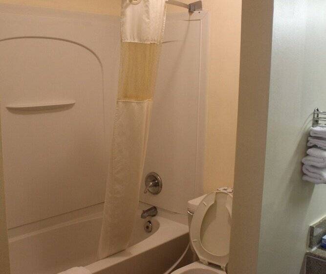 带2个双人床的标准工作室, Americas Best Value Inn Fredericksburg North