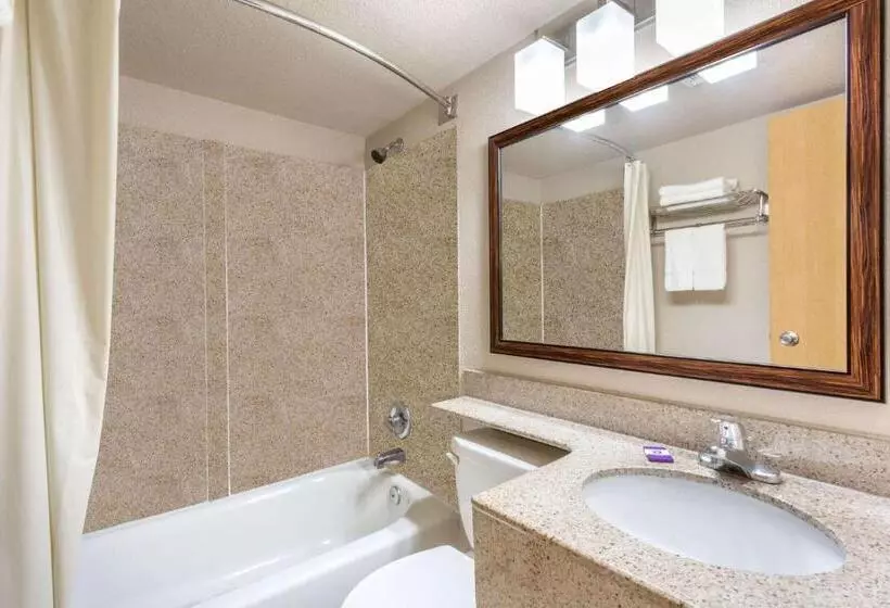 キングサイズベッドのデラックスルーム, Breeze Inn & Suites, Virginia Beach